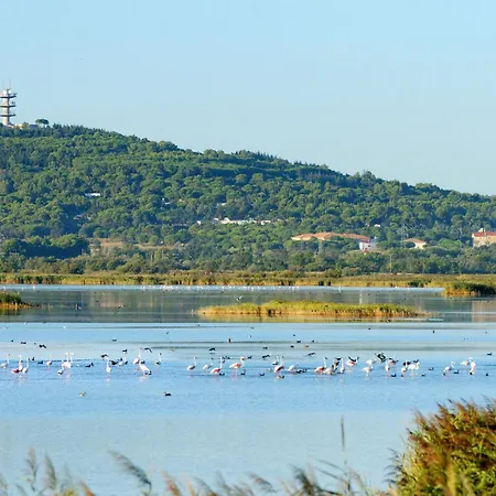 Le Sunset-cap Sud-1 By Interhome Apartmán