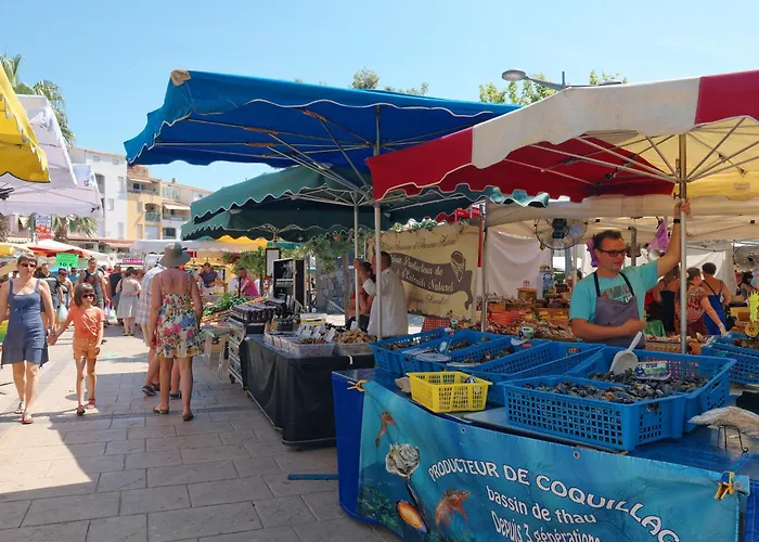 Le Sunset-cap Sud-1 By Interhome Appartamento Agde